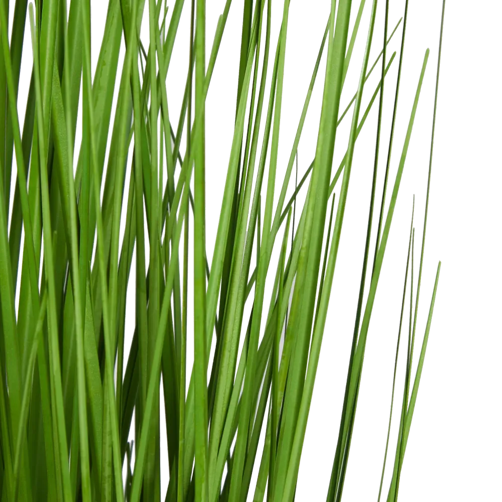 Künstliches Gras - Chiara | 90 cm