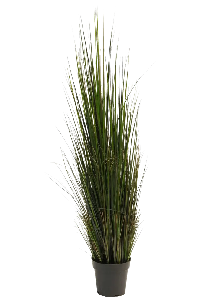 Künstliches Gras - Hanno | 120 cm