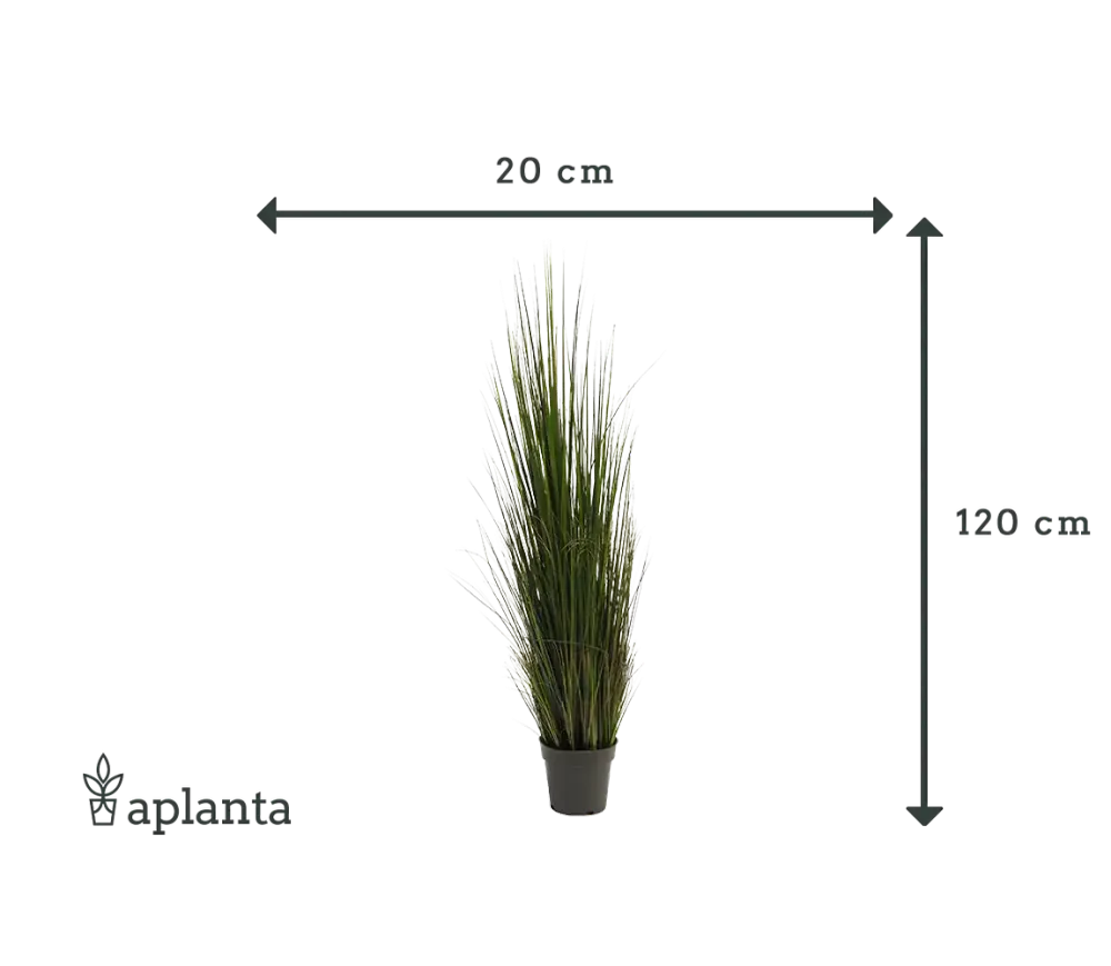 Künstliches Gras - Hanno | 120 cm