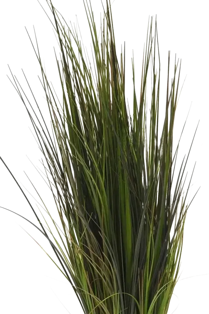 Künstliches Gras - Hanno | 60 cm