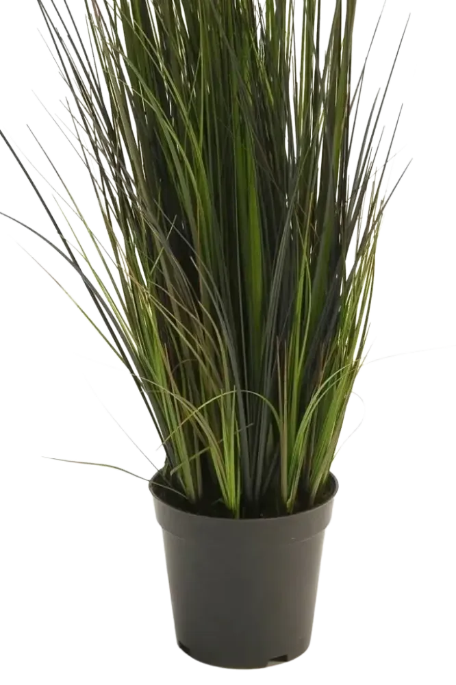 Künstliches Gras - Hanno | 60 cm
