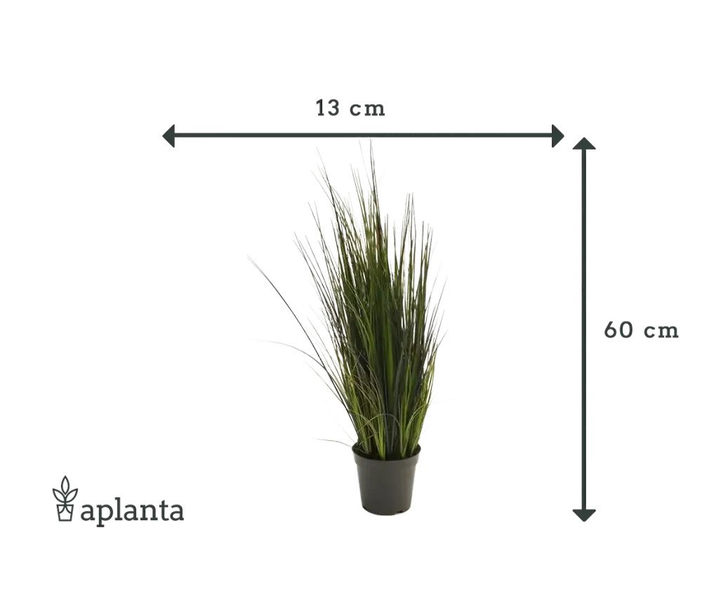 Künstliches Gras - Hanno | 60 cm