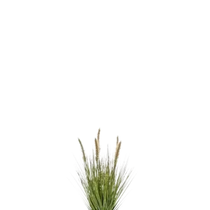 Künstliches Lampenputzergras - Paulin | 45 cm