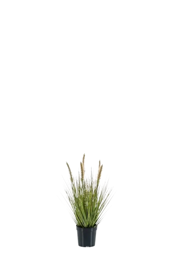 Künstliches Lampenputzergras - Paulin | 45 cm