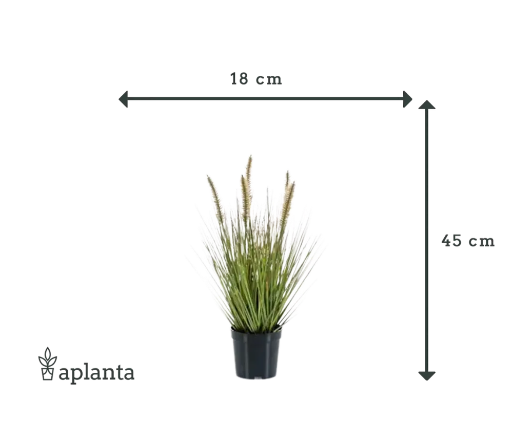 Künstliches Lampenputzergras - Paulin | 45 cm