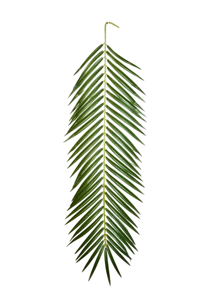 Künstliches Phoenixpalmenblatt - Oliwia | 88 cm