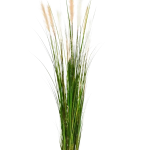 Künstliches Schilfgras - Fluffi | 180 cm