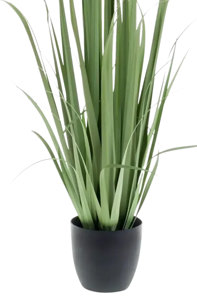 Künstliches Yucca Gras - Iva | 120 cm
