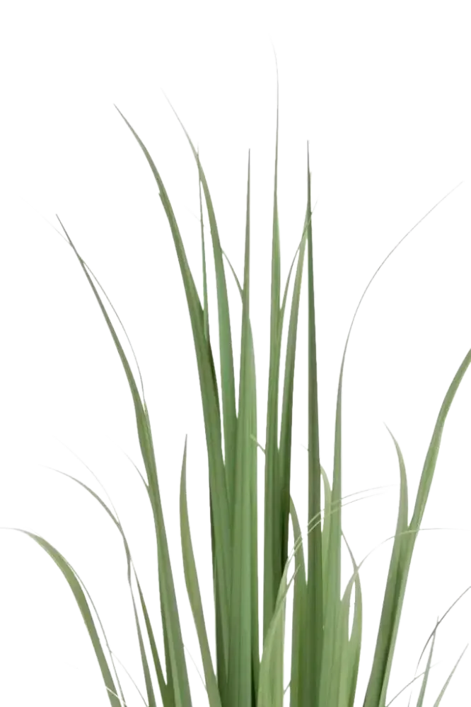 Künstliches Yucca Gras - Iva | 120 cm