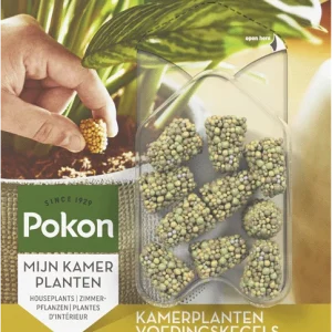 Langzeit Düngekegel für Zimmerpflanzen (10 St.)