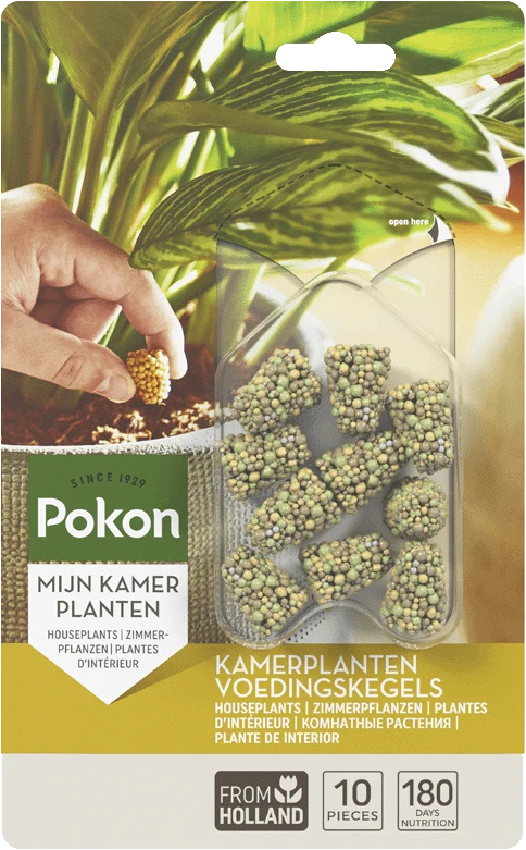 Langzeit Düngekegel für Zimmerpflanzen (10 St.)