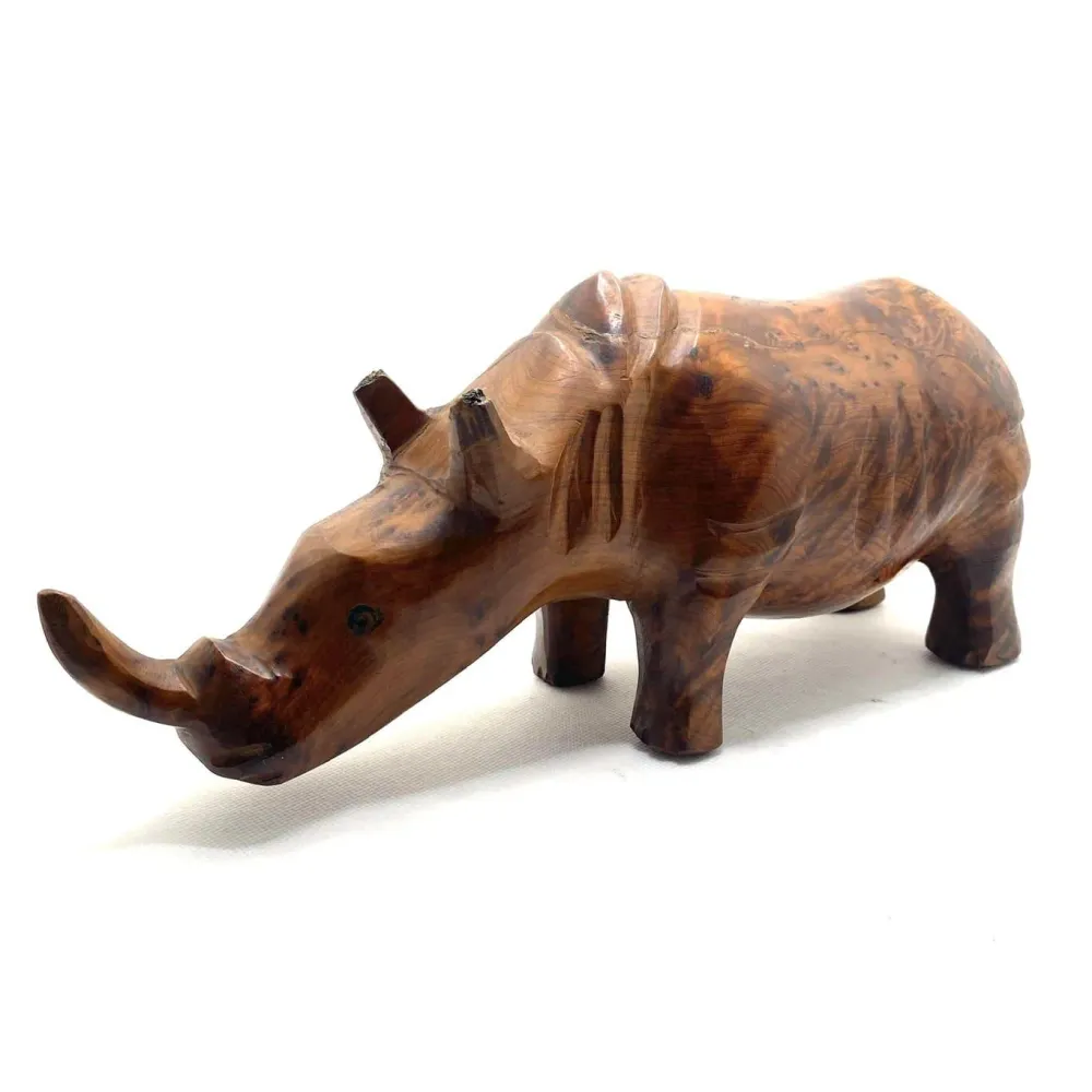 Marokkanisches Nashorn im Thuya-Wald