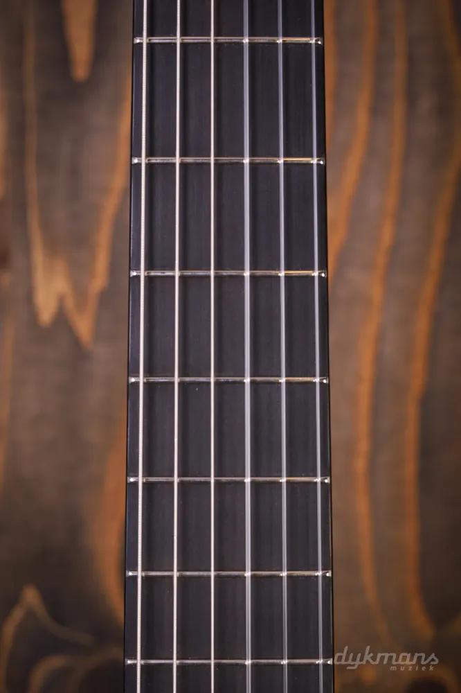 Martin 000C12-16E Nylon