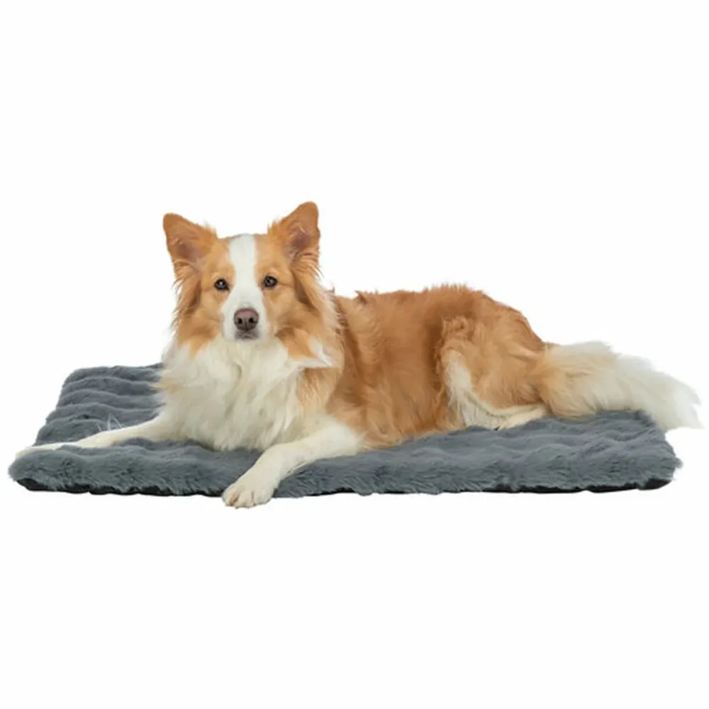 Matratze Trixie Dunkelgrau 70 × 50 cm Hund