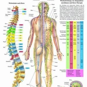 Meridiane und Dorntherapie