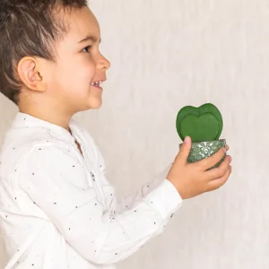 Mini Hoya Kerrii Herz