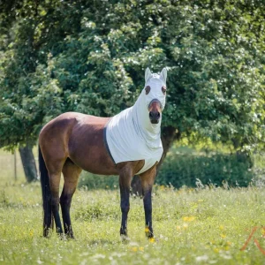 RSH Teilkörperdecke Modell Shari mit Kopfteil