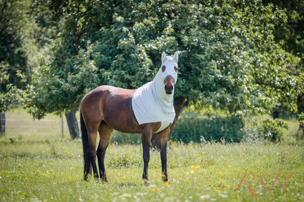 RSH Teilkörperdecke Modell Shari mit Kopfteil