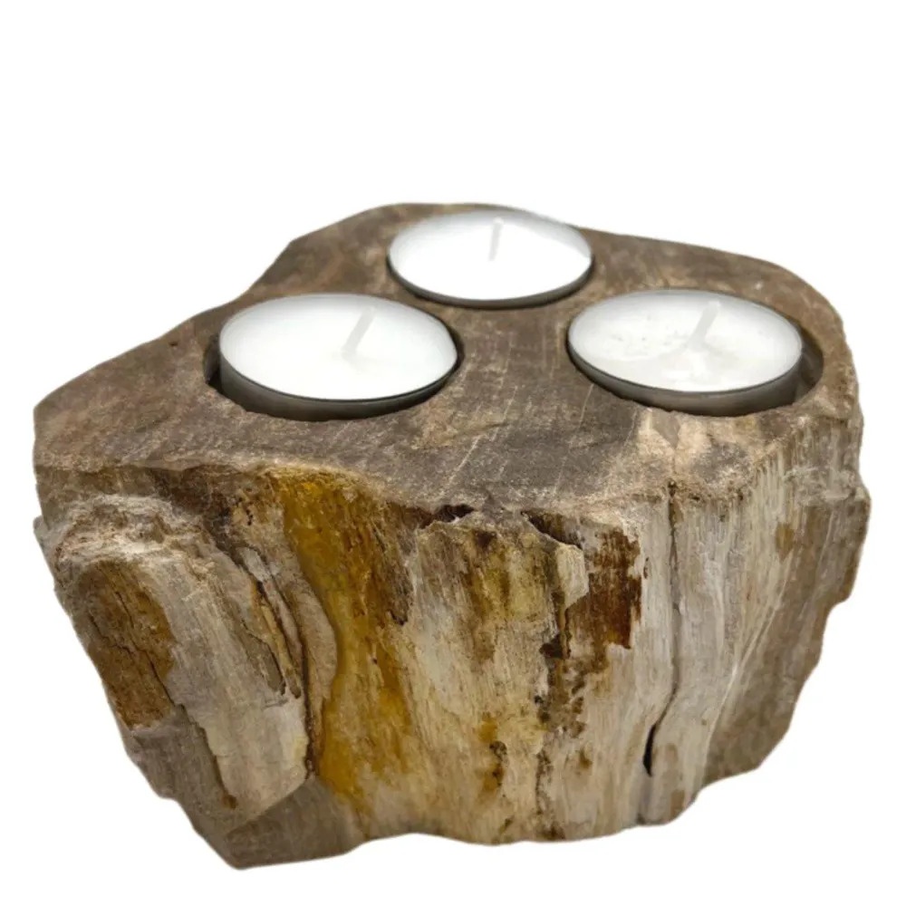 Set aus 3 Teelichthaltern aus versteinertem Holz