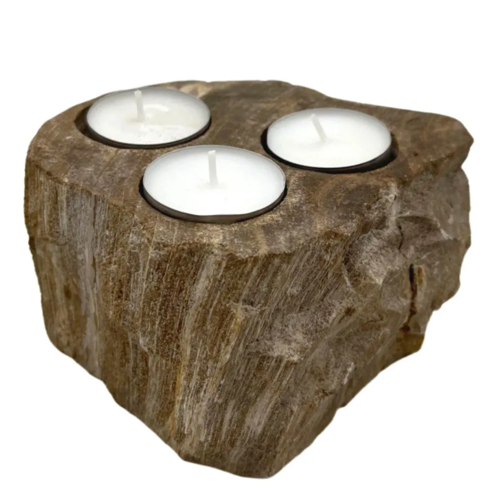 Set aus 3 Teelichthaltern aus versteinertem Holz