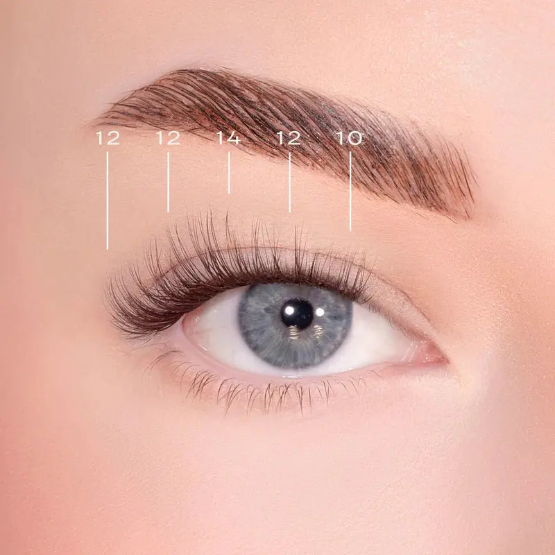 Soft Wisp Dark Brown Pre-Glued Lashes