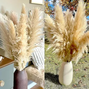 20 Stück Pampas Grass XXL Trockenblumen Deko groß 100cm