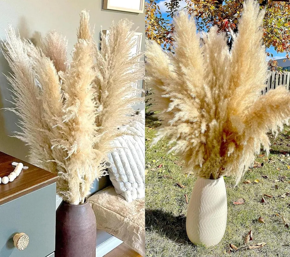 20 Stück Pampas Grass XXL Trockenblumen Deko groß 100cm