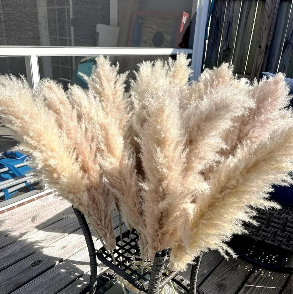 20 Stück Pampas Grass XXL Trockenblumen Deko groß 100cm