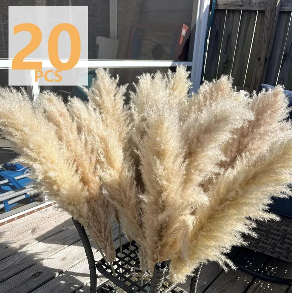 20 Stück Pampas Grass XXL Trockenblumen Deko groß 100cm