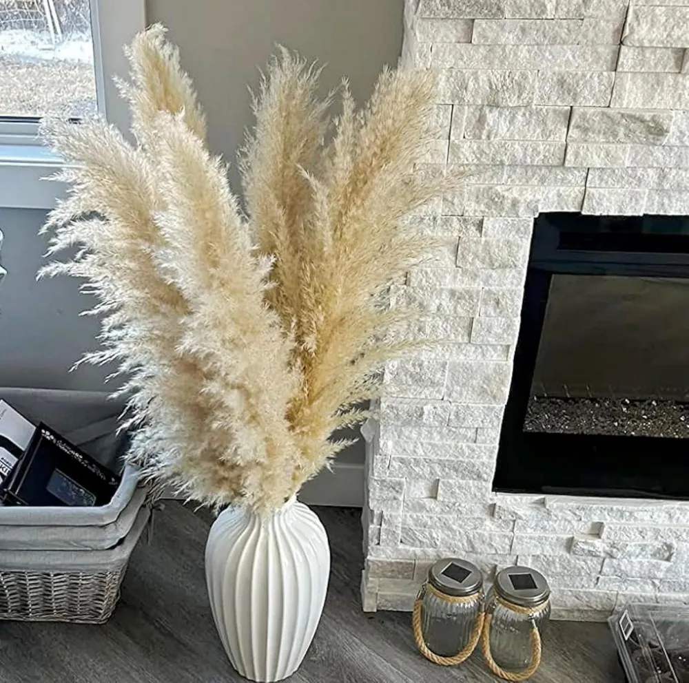 20 Stück Pampas Grass XXL Trockenblumen Deko groß 100cm