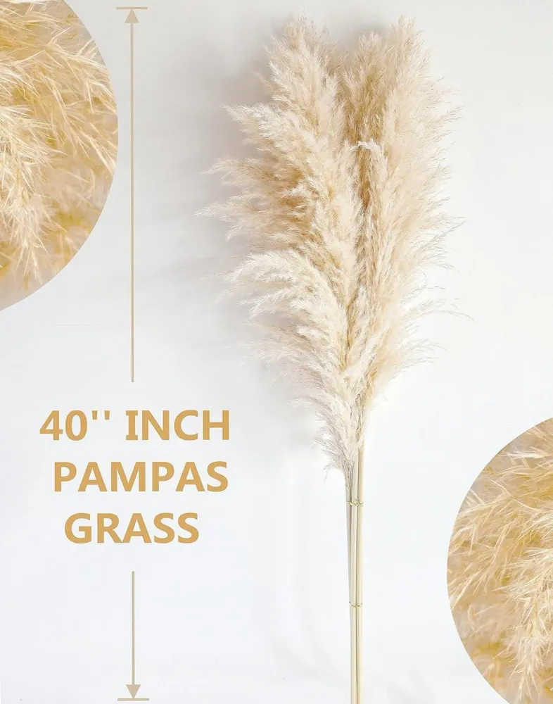 20 Stück Pampas Grass XXL Trockenblumen Deko groß 100cm