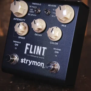 Strymon Flint v2
