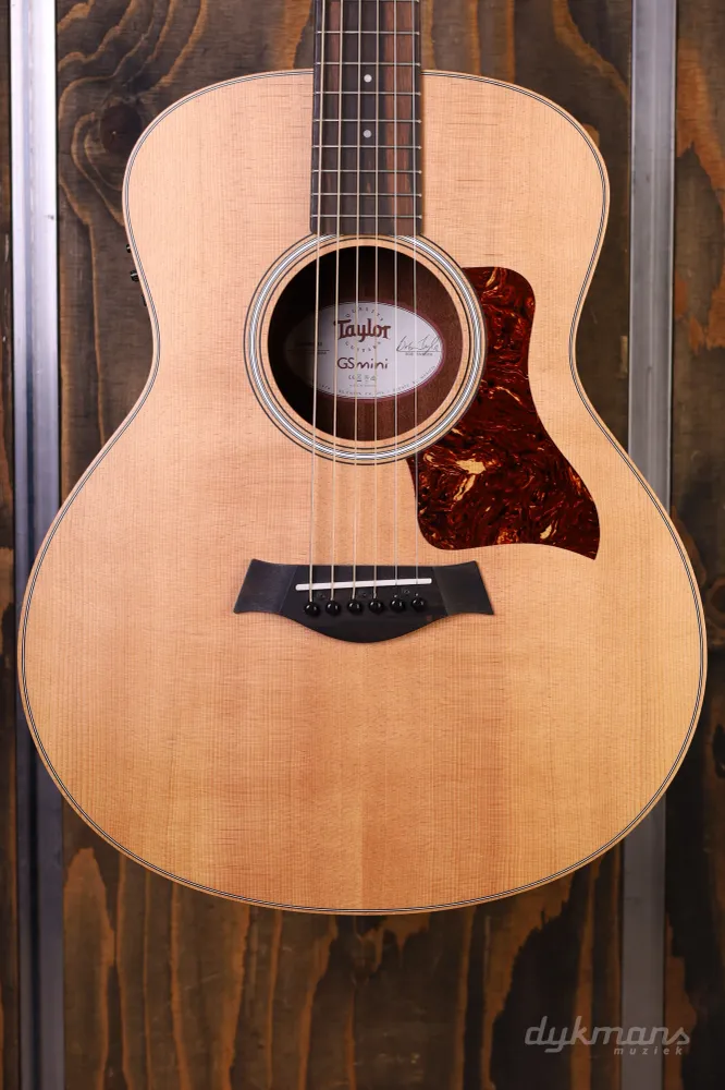 Taylor GS Mini E Rosewood