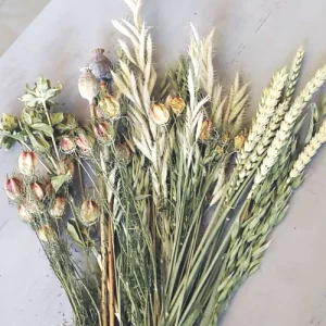 Trockenblumen, Eukalyptusblättern, Gräsern und Rispen,Disteln,grün,weiss