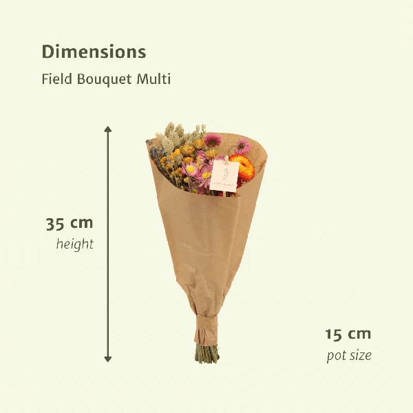 Trockenblumen Feldblumenstrauß Multi – Buntes Trockenblumen Bouquet – Ø15 cm – ca. 35 cm hoch – Dekorativer Blumenstrauß f...