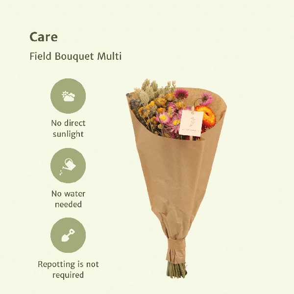 Trockenblumen Feldblumenstrauß Multi – Buntes Trockenblumen Bouquet – Ø15 cm – ca. 35 cm hoch – Dekorativer Blumenstrauß f...