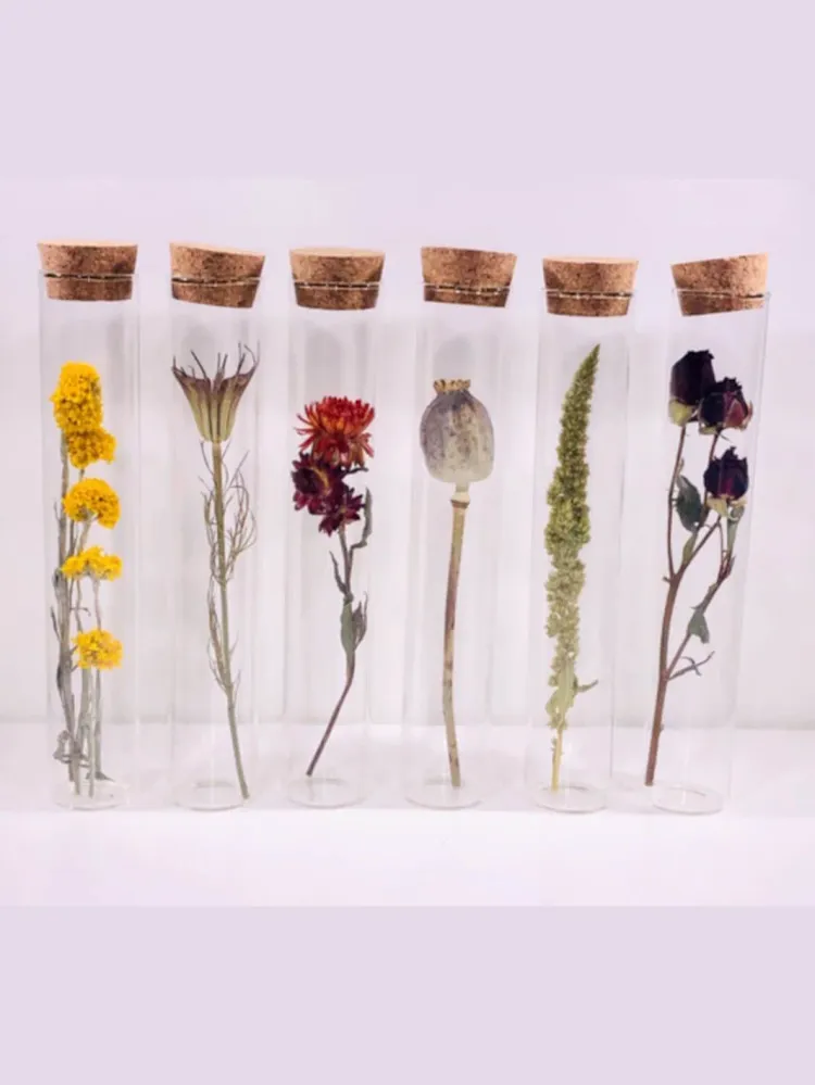 Tube Fleur Sechee 15cm