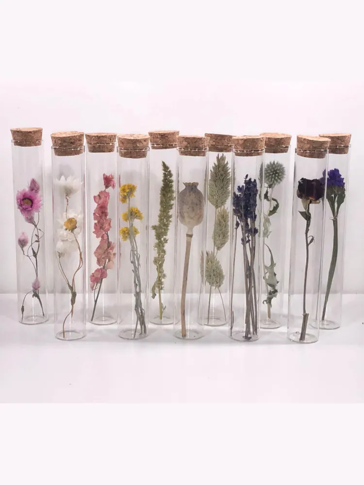 Tube Fleur Sechee 15cm