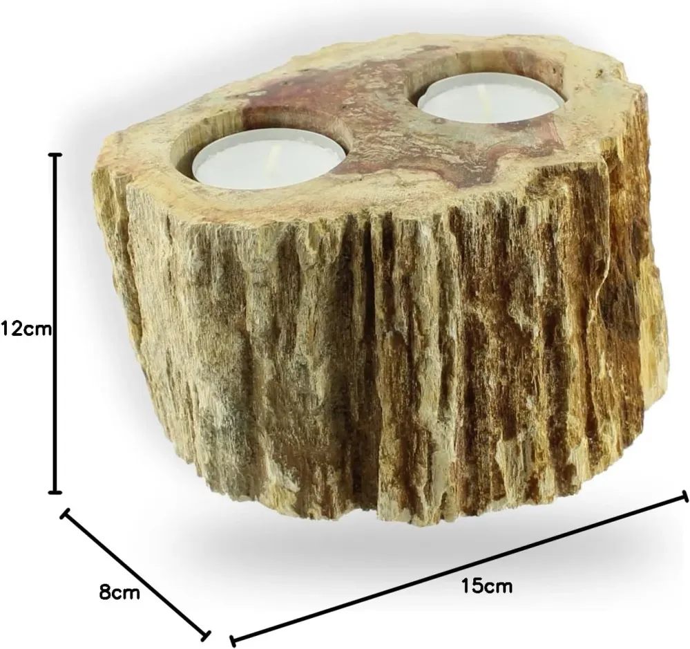 Teelichthalter aus fossilem Holz – Naturstein-Unikat ca. 15×12×8 cm, versteinertes Holz aus Indonesien