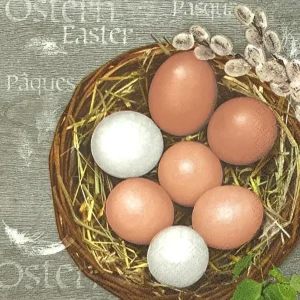 Eier im Korb