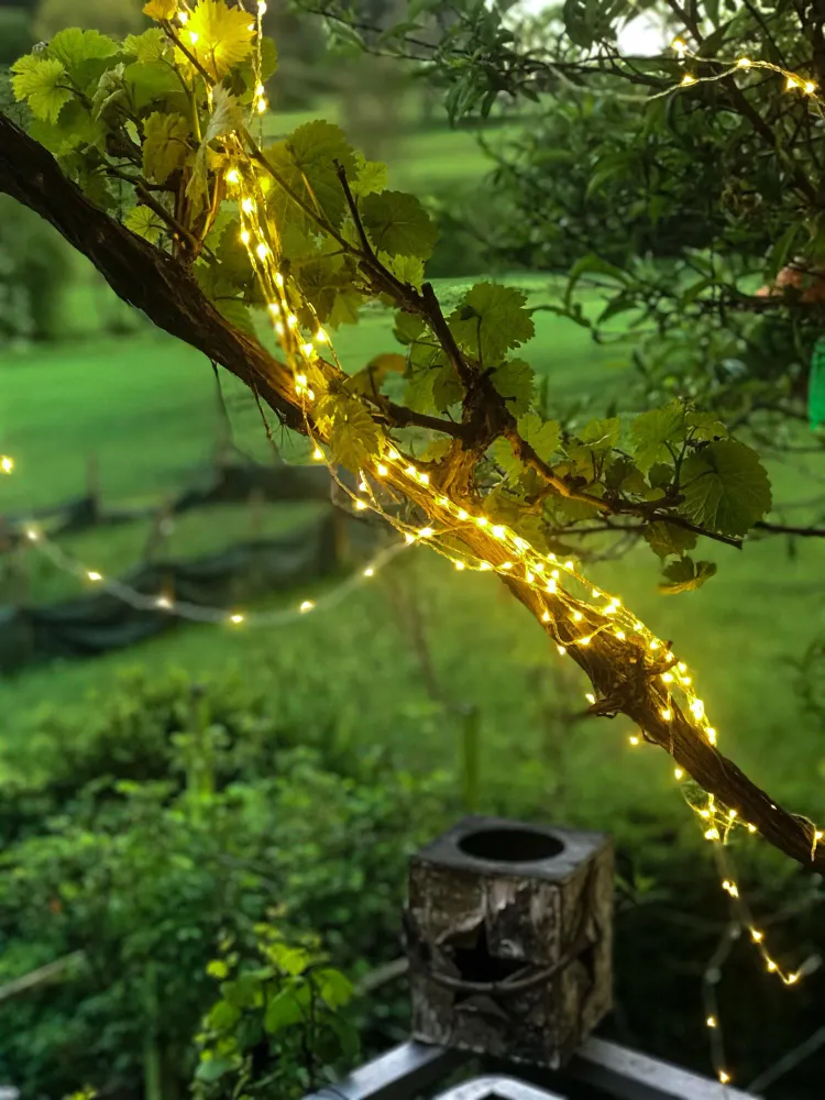 Hellum LED Fontäne Tauperlen, 700 LEDs, 20 Stränge, Timer, für Außen 577839