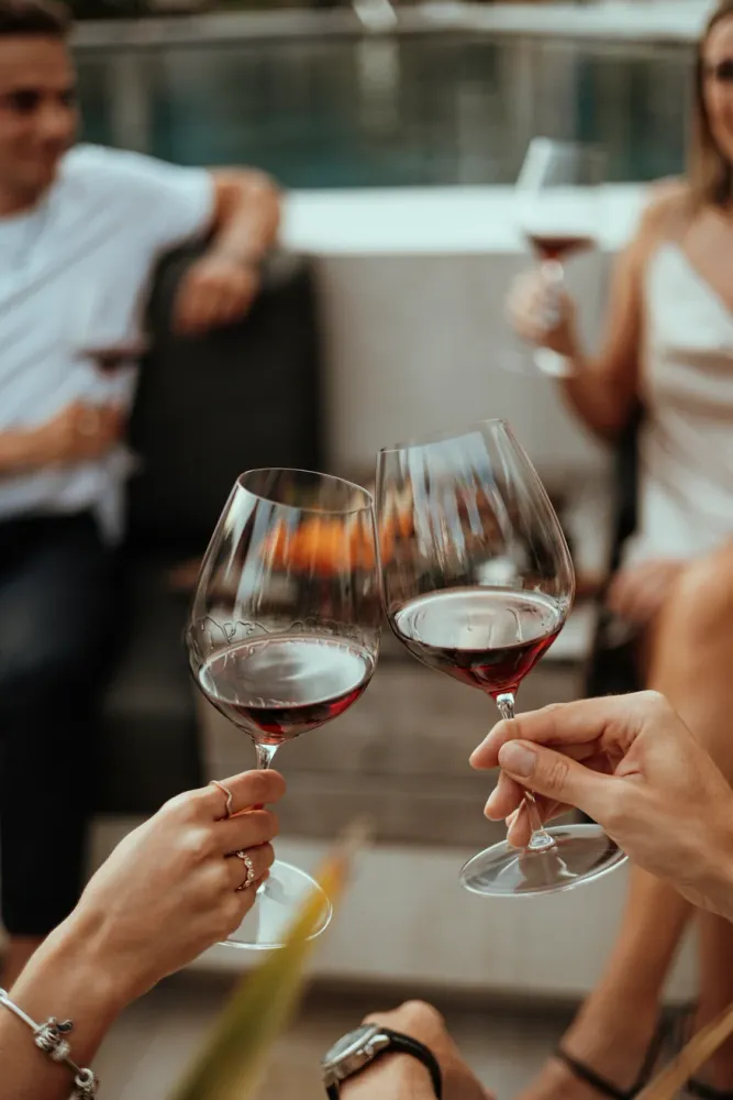 Riedel Rotweingläser Performance - Syrah / Shiraz - 2 Stücke