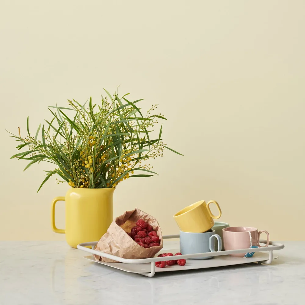 Rig-Tig Stelton - Carry-On Serviertablett
