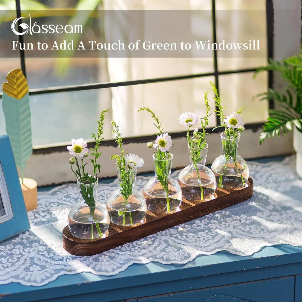 Glasseam Pflanzen Terrarium Vasen Set Hydrokultur Vase