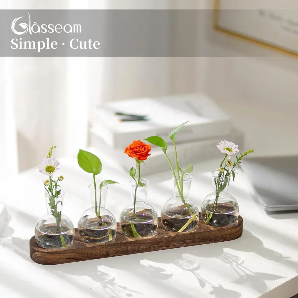 Glasseam Pflanzen Terrarium Vasen Set Hydrokultur Vase
