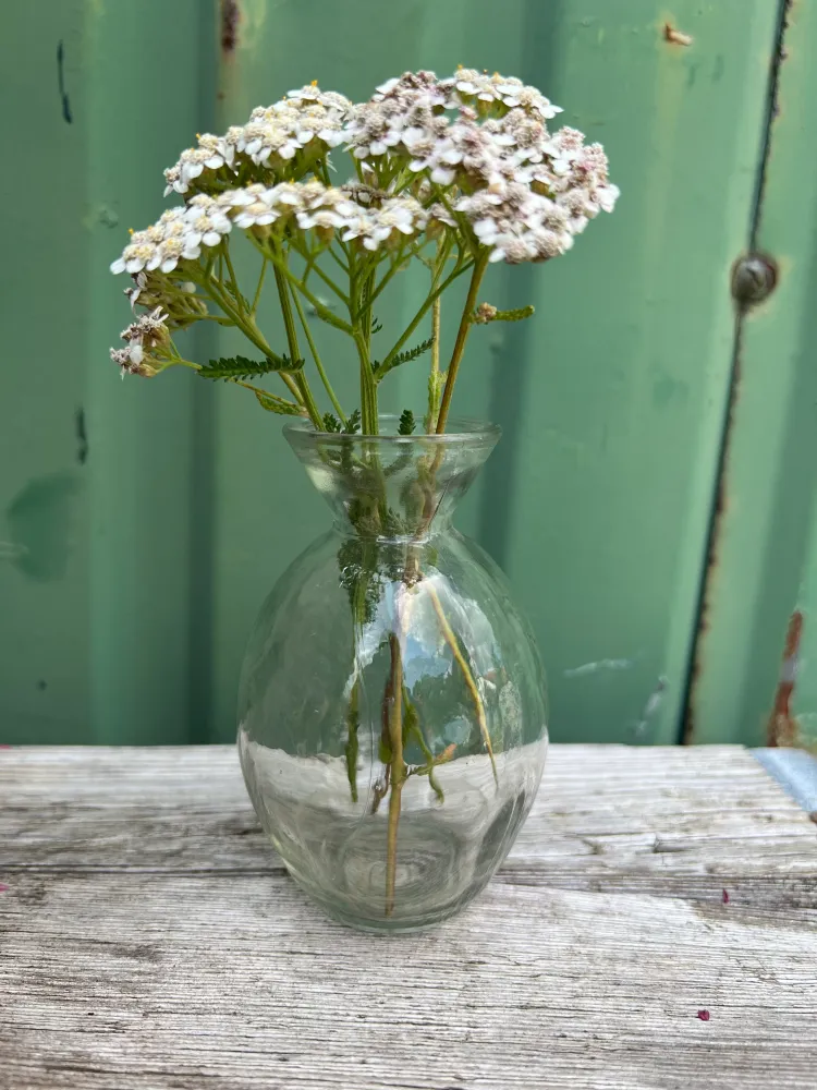 Glasvase FABI Vase Blumenvase Pressglas glatt klein transparent H/dia: 10/5,5cm