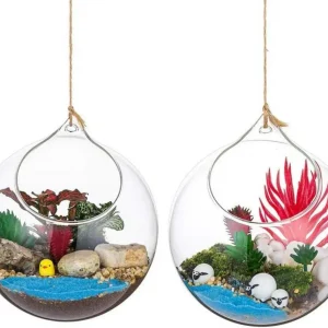 Hängende Glaskugel Vase Große Öffnung Sukkulenten Terrarium