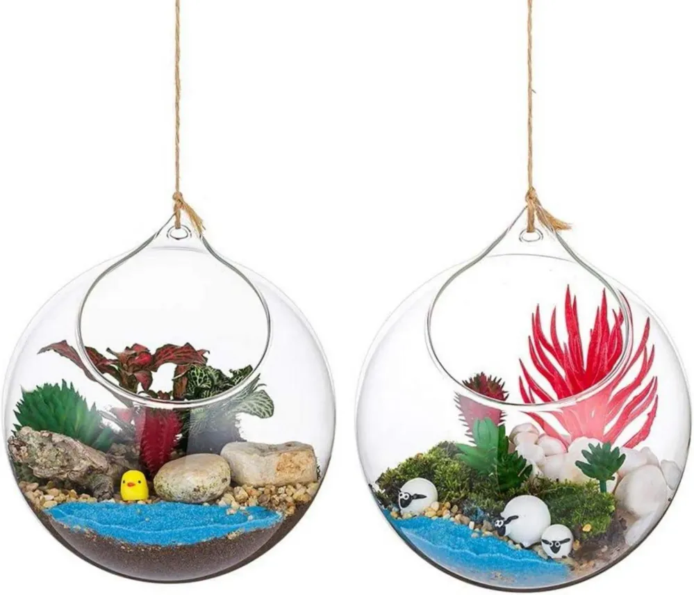 Hängende Glaskugel Vase Große Öffnung Sukkulenten Terrarium