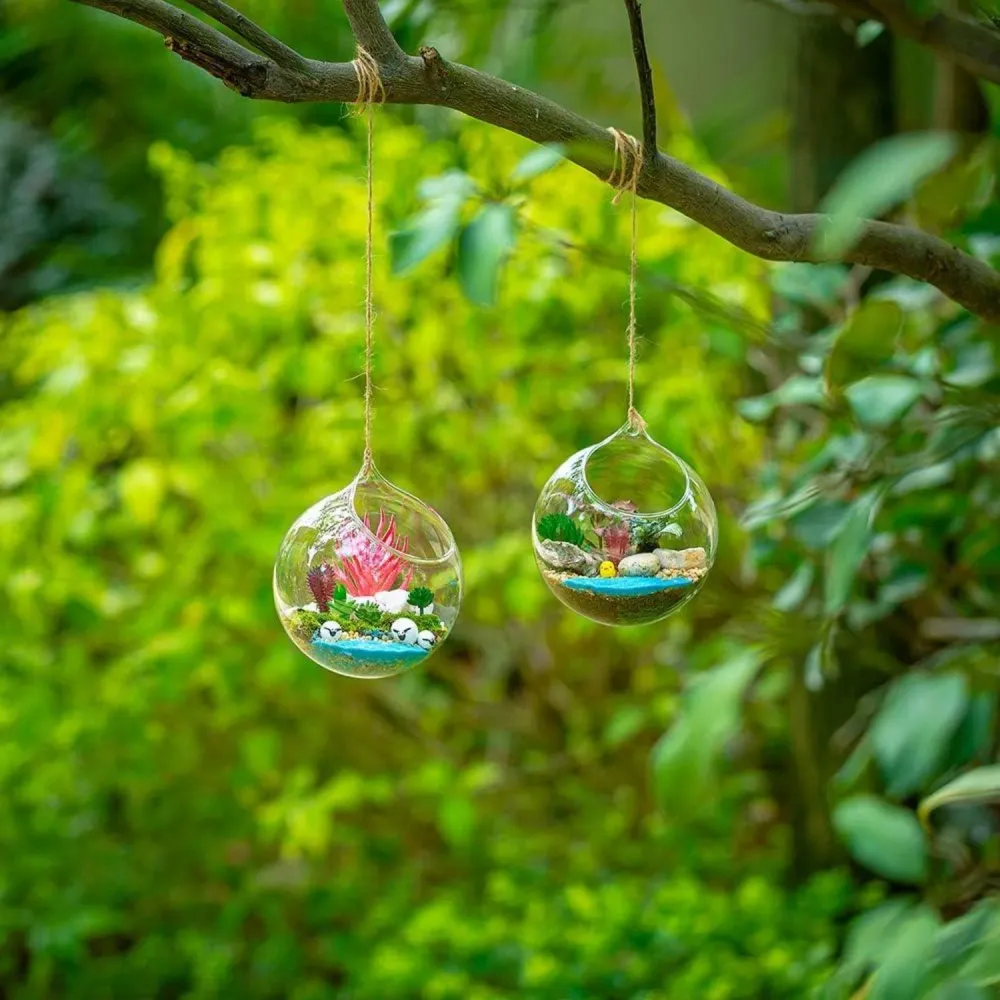 Hängende Glaskugel Vase Große Öffnung Sukkulenten Terrarium