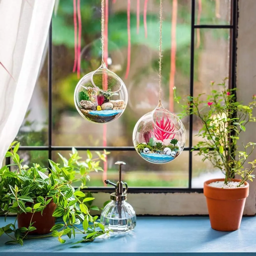 Hängende Glaskugel Vase Große Öffnung Sukkulenten Terrarium